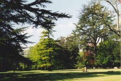 photo de Arboretum  ©  Isabelle Delavaud